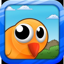 Big Eyed Bird Adventure