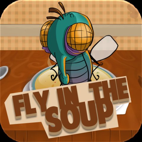 Fly In The Soup